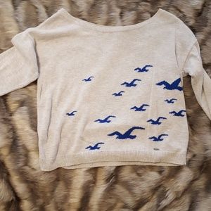 Hollister Sweater